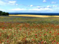 Farbenreichtum der Erde