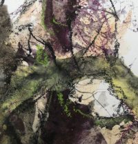 Lichtwurzeln Detailansicht