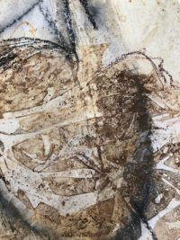 Spuren des Lebens Detail