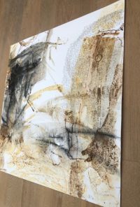 Wüste Seitenansicht