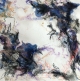 Zeitgeäst, 49 x 49 cm, 750,- €