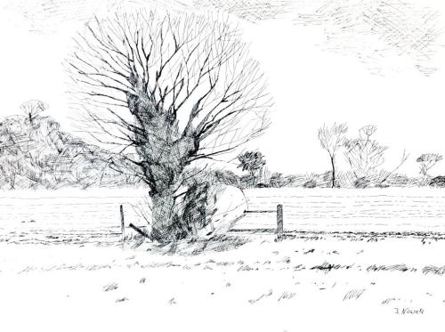 Winterstimmung, Tusche auf Papier, 39,9x29,5 cm